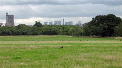 Wormwood Scrubs - credit: Flickr/Julian Tysoe (CC by 2.0)